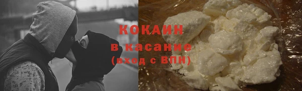 прущие грибы Магас