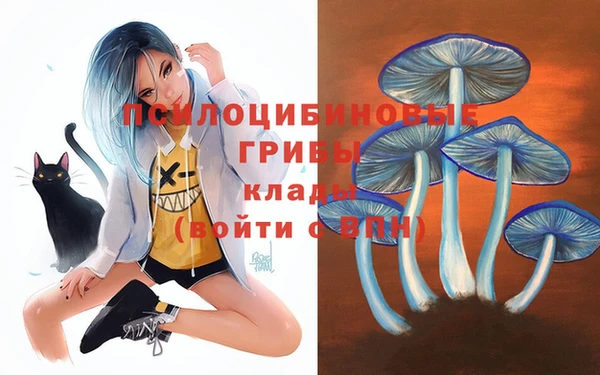 тгк Медвежьегорск