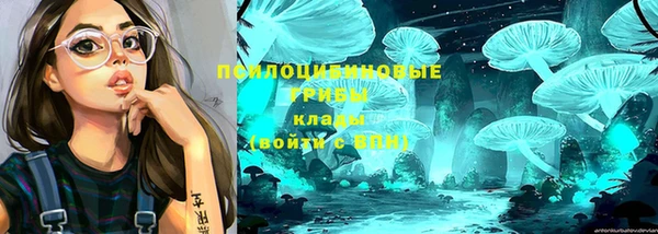 амф Магадан