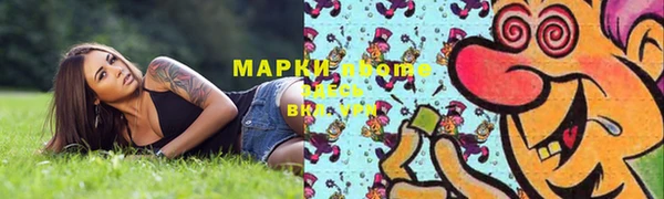 прущие грибы Магас