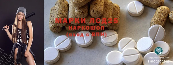 прущие грибы Магас