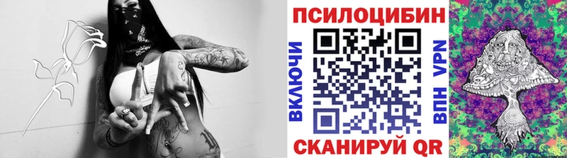 Галлюциногенные грибы Cubensis  Новочебоксарск 