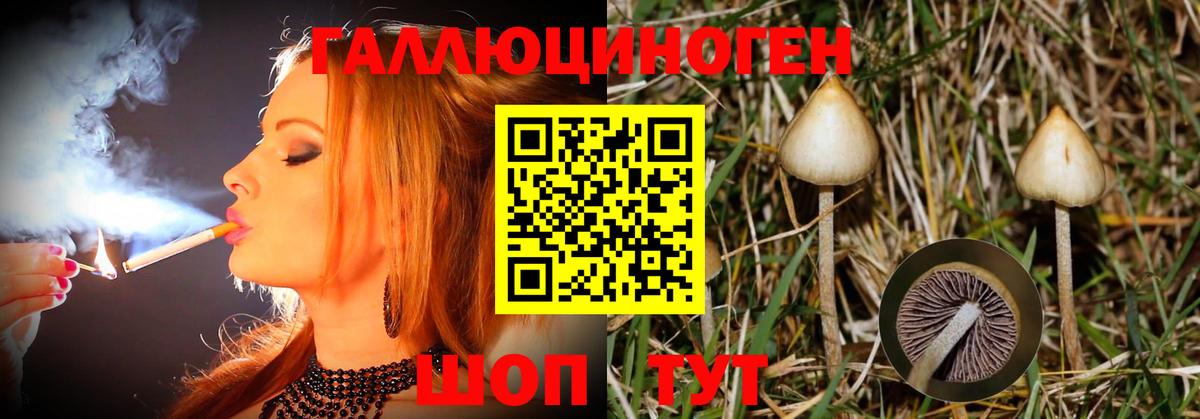 Галлюциногенные грибы прущие грибы  Псилоцибиновые грибы мицелий  Вход с VPN  Новочебоксарск 
