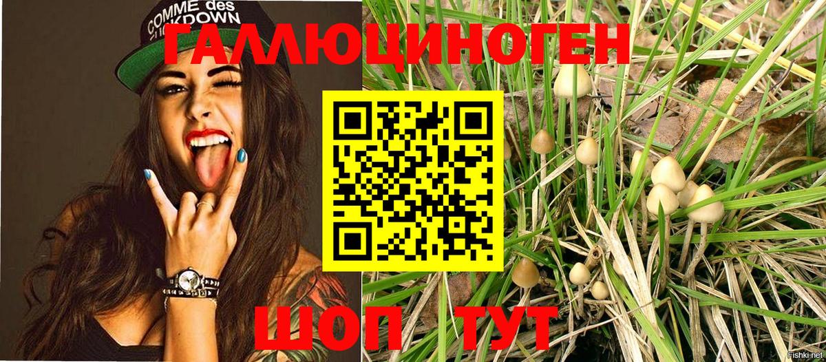 Метамфетамин Новочебоксарск