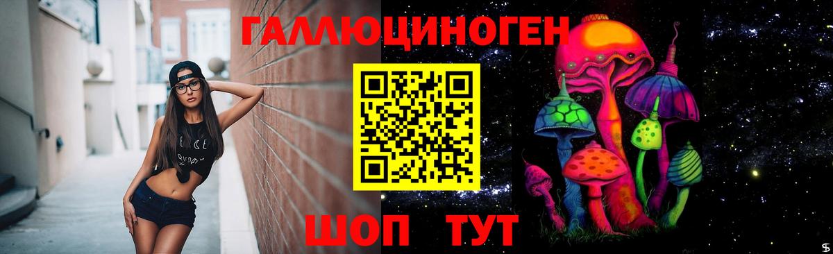 Галлюциногенные грибы Cubensis Новочебоксарск